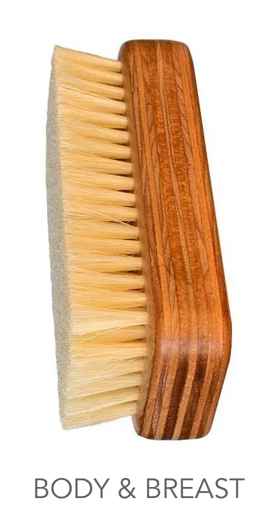 Dry Brushes