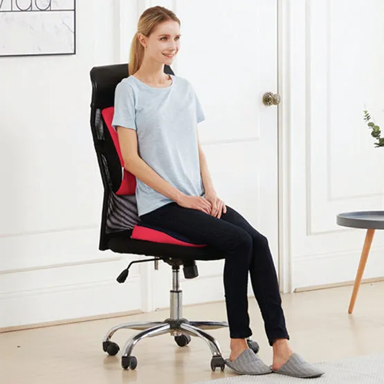 ERGOWORKS - EW-PPBL - Perfect Posture Backrest L